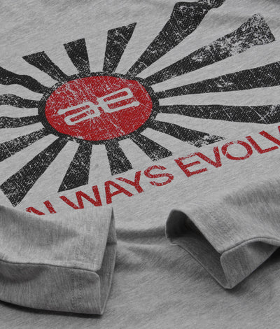 AE Distressed Flag Long Sleeve Grey