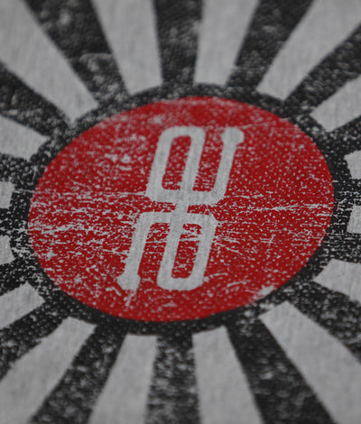 AE Distressed Flag Long Sleeve Grey