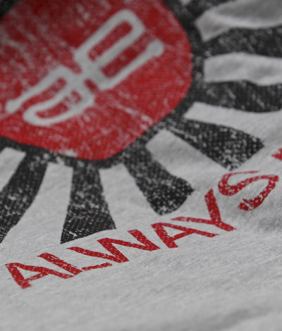 AE Distressed Flag Long Sleeve Grey