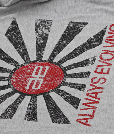 AE Distressed Flag Long Sleeve Grey