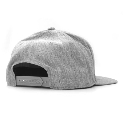 AE Shield GRY Flat Snapback Hat